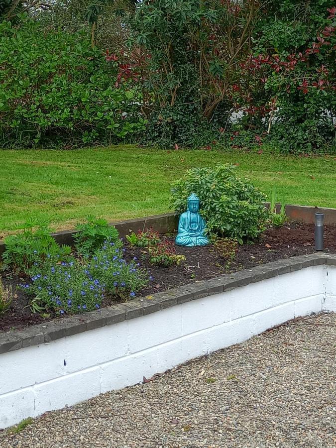 Applelea House Bed and Breakfast Rosslare Harbour Exteriör bild