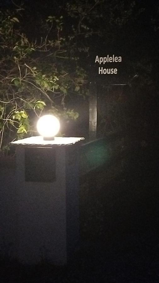 Applelea House Bed and Breakfast Rosslare Harbour Exteriör bild